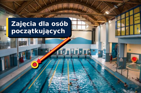 Basen DELFIN w Gliwicach — wakacyjna nauka pływania dla dorosłych